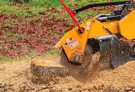  Edinburg, TX Tree Services Pros