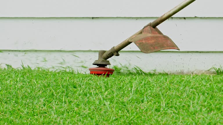 Best Lawn Mowing  in Edinburg, TX